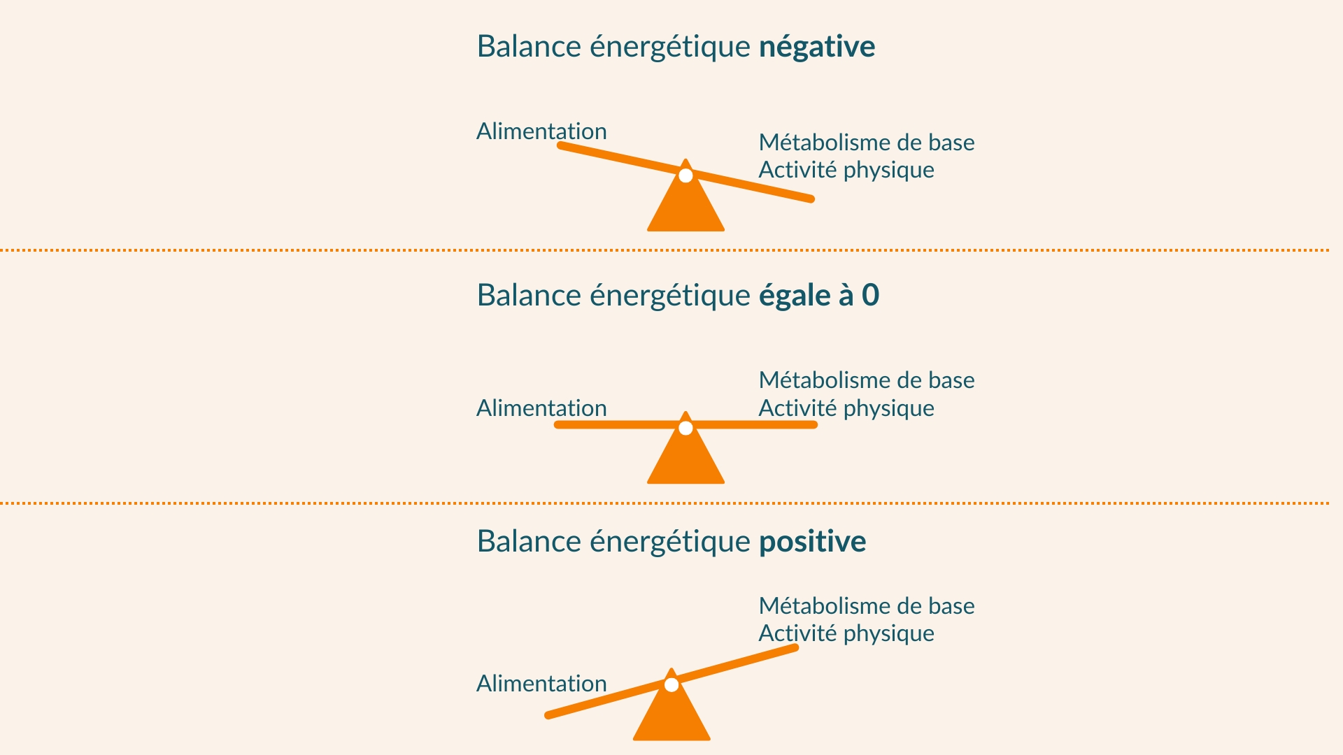 Trois balances à plateaux illustrent le principe de la balance énergétique. La première balance représente la balance énergétique positive. Le côté de la balance sur lequel l'alimentation est représentée est plus bas que le côté de la balance sur lequel le métabolisme de base et l'activité physique sont représentés. La deuxième balance représente la balance énergétique égale à 0. Les deux côtés de la balance sont à la même hauteur. La troisième balance représente la balance énergétique négative. Le côté de la balance sur lequel l'alimentation est représentée est plus haut que le côté de la balance sur lequel le métabolisme de base et l'activité physique sont représentés.