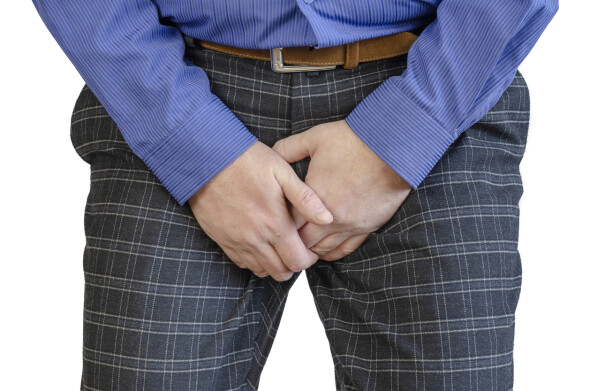 Morpions (poux du pubis)