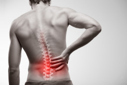 Douleur dans le bas du dos (douleur lombaire ou lombalgie), avec ou sans irradiation dans la jambe