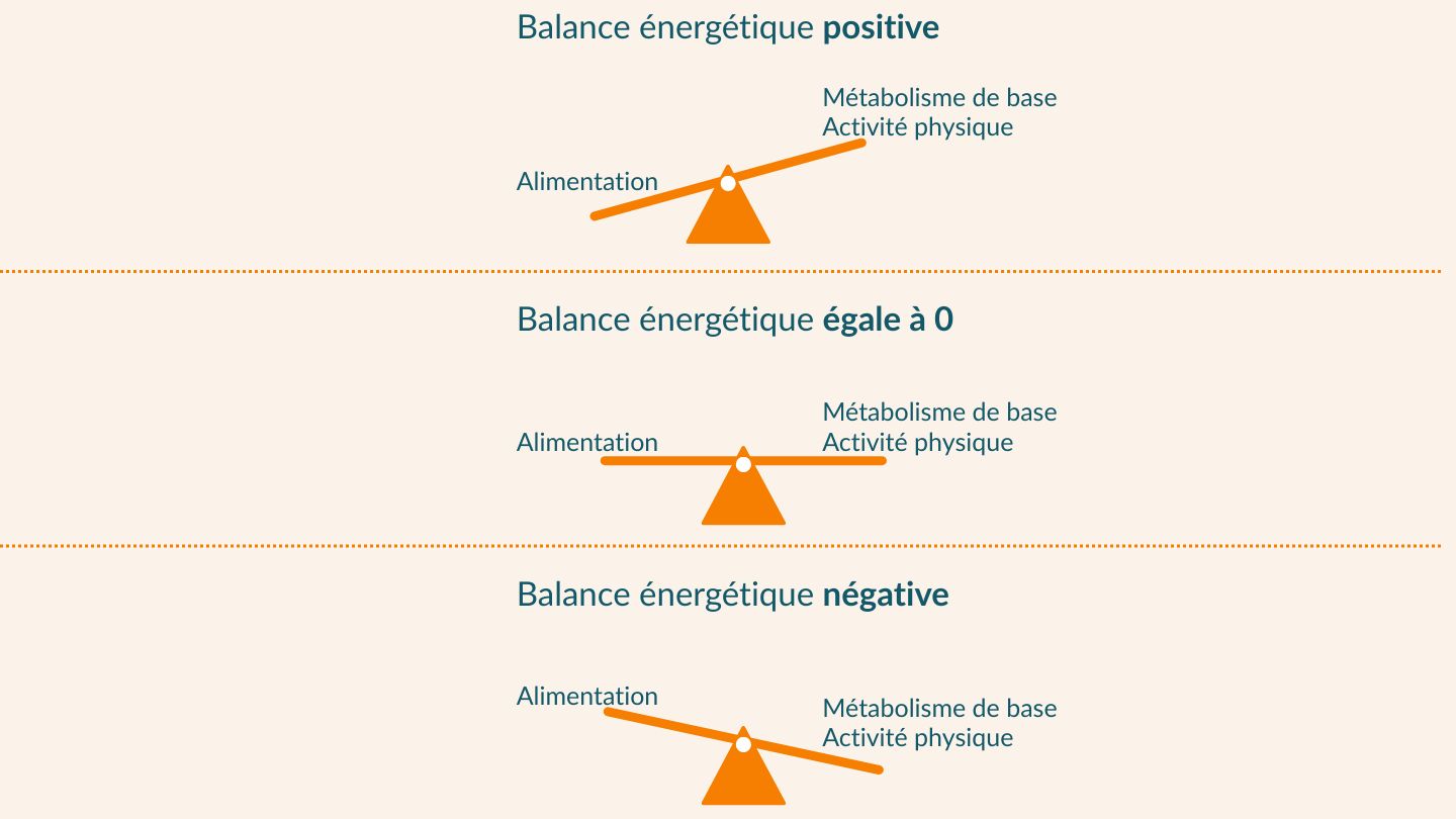 Trois balances à plateaux illustrent le principe de la balance énergétique. La première balance représente la balance énergétique positive. Le côté de la balance sur lequel l'alimentation est représentée est plus bas que le côté de la balance sur lequel le métabolisme de base et l'activité physique sont représentés. La deuxième balance représente la balance énergétique égale à 0. Les deux côtés de la balance sont à la même hauteur. La troisième balance représente la balance énergétique négative. Le côté de la balance sur lequel l'alimentation est représentée est plus haut que le côté de la balance sur lequel le métabolisme de base et l'activité physique sont représentés.