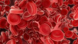 Trop de globules rouges (polyglobulie)